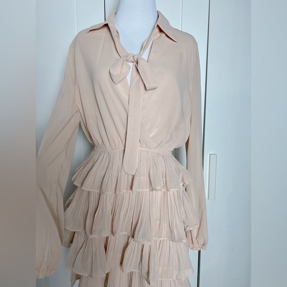 Ruffled Sheer Top Mini Dress